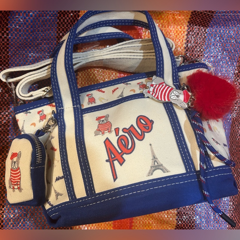 ✨LAST CHANCE✨ AEROPOSTALE French bulldog cavas mini tote